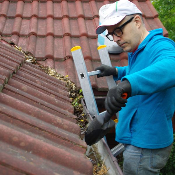 Expert gutter cleaner removing leaves and debris during gutter cleaning by Sydney Gutter Guys Expert gutter cleaner removing leaves and debris during gutter cleaning by Sydney Gutter Guys
